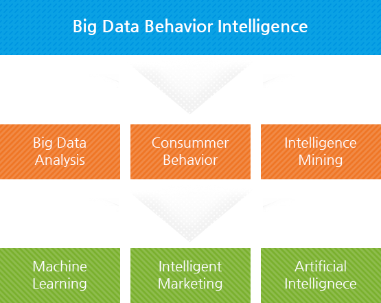 Big Data Behavior Intelligence